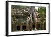 Angkor Tree Roots Cover-null-Framed Photographic Print