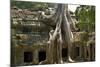 Angkor Tree Roots Cover-null-Mounted Photographic Print