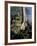 Angkor Wat Archaeological Park, Siem Reap, Cambodia, Indochina, Southeast Asia-Julio Etchart-Framed Photographic Print