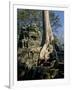 Angkor Wat Archaeological Park, Siem Reap, Cambodia, Indochina, Southeast Asia-Julio Etchart-Framed Photographic Print