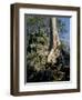 Angkor Wat Archaeological Park, Siem Reap, Cambodia, Indochina, Southeast Asia-Julio Etchart-Framed Photographic Print