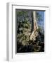 Angkor Wat Archaeological Park, Siem Reap, Cambodia, Indochina, Southeast Asia-Julio Etchart-Framed Photographic Print