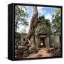 Angkor Wat Cambodia. Ta Prohm Khmer Ancient Buddhist Temple in Jungle Forest. Famous Landmark, Plac-Banana Republic images-Framed Stretched Canvas