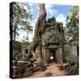 Angkor Wat Cambodia. Ta Prohm Khmer Ancient Buddhist Temple in Jungle Forest. Famous Landmark, Plac-Banana Republic images-Stretched Canvas