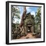 Angkor Wat Cambodia. Ta Prohm Khmer Ancient Buddhist Temple in Jungle Forest. Famous Landmark, Plac-Banana Republic images-Framed Photographic Print