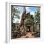 Angkor Wat Cambodia. Ta Prohm Khmer Ancient Buddhist Temple in Jungle Forest. Famous Landmark, Plac-Banana Republic images-Framed Photographic Print