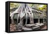 Angkor Wat Cambodia. Ta Prom Khmer Ancient Buddhist Temple in Jungle Forest. Famous Landmark, Place-SergWSQ-Framed Stretched Canvas