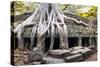 Angkor Wat Cambodia. Ta Prom Khmer Ancient Buddhist Temple in Jungle Forest. Famous Landmark, Place-SergWSQ-Stretched Canvas