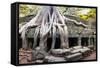 Angkor Wat Cambodia. Ta Prom Khmer Ancient Buddhist Temple in Jungle Forest. Famous Landmark, Place-SergWSQ-Framed Stretched Canvas