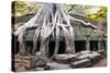 Angkor Wat Cambodia. Ta Prom Khmer Ancient Buddhist Temple in Jungle Forest. Famous Landmark, Place-SergWSQ-Stretched Canvas