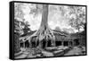 Angkor Wat Cambodia. Ta Prom Khmer Ancient Buddhist Temple in Jungle Forest. Famous Landmark, Place-SergWSQ-Framed Stretched Canvas
