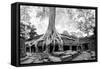 Angkor Wat Cambodia. Ta Prom Khmer Ancient Buddhist Temple in Jungle Forest. Famous Landmark, Place-SergWSQ-Framed Stretched Canvas