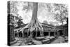 Angkor Wat Cambodia. Ta Prom Khmer Ancient Buddhist Temple in Jungle Forest. Famous Landmark, Place-SergWSQ-Stretched Canvas