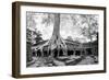 Angkor Wat Cambodia. Ta Prom Khmer Ancient Buddhist Temple in Jungle Forest. Famous Landmark, Place-SergWSQ-Framed Photographic Print