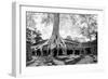 Angkor Wat Cambodia. Ta Prom Khmer Ancient Buddhist Temple in Jungle Forest. Famous Landmark, Place-SergWSQ-Framed Photographic Print