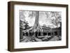 Angkor Wat Cambodia. Ta Prom Khmer Ancient Buddhist Temple in Jungle Forest. Famous Landmark, Place-SergWSQ-Framed Photographic Print