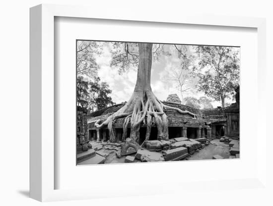 Angkor Wat Cambodia. Ta Prom Khmer Ancient Buddhist Temple in Jungle Forest. Famous Landmark, Place-SergWSQ-Framed Photographic Print