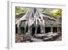 Angkor Wat Cambodia. Ta Prom Khmer Ancient Buddhist Temple in Jungle Forest. Famous Landmark, Place-SergWSQ-Framed Photographic Print