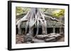 Angkor Wat Cambodia. Ta Prom Khmer Ancient Buddhist Temple in Jungle Forest. Famous Landmark, Place-SergWSQ-Framed Photographic Print