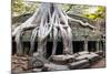 Angkor Wat Cambodia. Ta Prom Khmer Ancient Buddhist Temple in Jungle Forest. Famous Landmark, Place-SergWSQ-Mounted Photographic Print