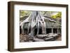 Angkor Wat Cambodia. Ta Prom Khmer Ancient Buddhist Temple in Jungle Forest. Famous Landmark, Place-SergWSQ-Framed Photographic Print