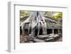 Angkor Wat Cambodia. Ta Prom Khmer Ancient Buddhist Temple in Jungle Forest. Famous Landmark, Place-SergWSQ-Framed Photographic Print