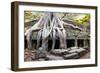 Angkor Wat Cambodia. Ta Prom Khmer Ancient Buddhist Temple in Jungle Forest. Famous Landmark, Place-SergWSQ-Framed Photographic Print