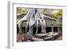 Angkor Wat Cambodia. Ta Prom Khmer Ancient Buddhist Temple in Jungle Forest. Famous Landmark, Place-SergWSQ-Framed Photographic Print