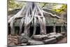 Angkor Wat Cambodia. Ta Prom Khmer Ancient Buddhist Temple in Jungle Forest. Famous Landmark, Place-SergWSQ-Mounted Photographic Print