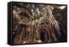 Angkor Wat Temple in Siem Reap, Cambodia-Andrey Bayda-Framed Stretched Canvas