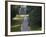 Angkor Wat, Temple Road, Cambodia-Walter Bibikow-Framed Photographic Print