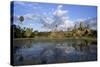 Angkor Wat Temple-null-Stretched Canvas