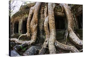 Angkor Wat-Friday-Stretched Canvas