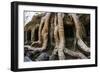 Angkor Wat-Friday-Framed Photographic Print