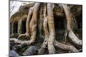 Angkor Wat-Friday-Mounted Photographic Print