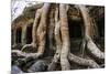 Angkor Wat-Friday-Mounted Photographic Print