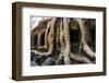 Angkor Wat-Friday-Framed Photographic Print
