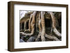 Angkor Wat-Friday-Framed Photographic Print