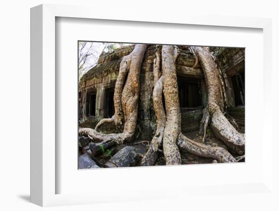 Angkor Wat-Friday-Framed Photographic Print