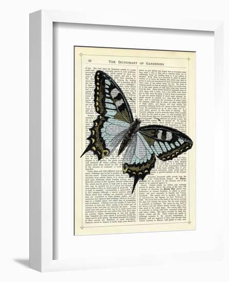 Angled Butterfly-Marion Mcconaghie-Framed Art Print