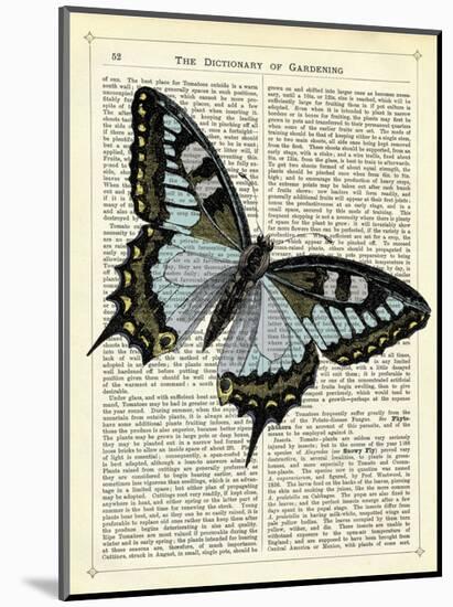 Angled Butterfly-Marion Mcconaghie-Mounted Art Print