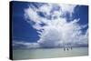 Anglers Walk to the Outer Reef of St. Francois Atoll, Seychelles-Matt Jones-Stretched Canvas