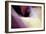 Angles-Douglas Taylor-Framed Photographic Print