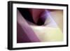 Angles-Douglas Taylor-Framed Photographic Print