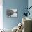 Angling at Llyn Dinas-null-Photographic Print displayed on a wall