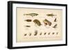 Angling-English School-Framed Premium Giclee Print