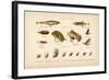 Angling-English School-Framed Giclee Print