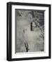 Anglo-American Incendiary Bombs Fall on Hamburg, 1942-45-null-Framed Giclee Print