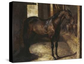 Anglo-Arabian Stallion in the Imperial Stables at Versailles-Théodore Géricault-Stretched Canvas