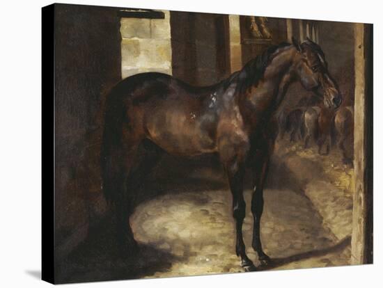 Anglo-Arabian Stallion in the Imperial Stables at Versailles-Théodore Géricault-Stretched Canvas